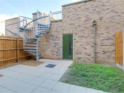 Picture 21